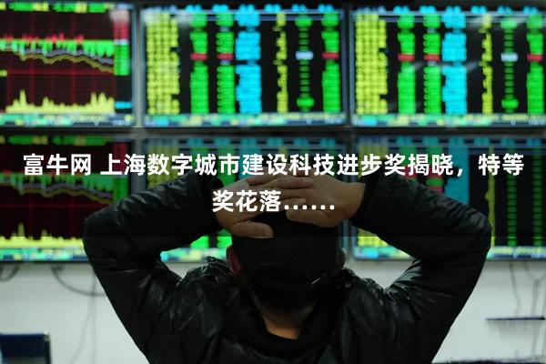 富牛网 上海数字城市建设科技进步奖揭晓，特等奖花落……