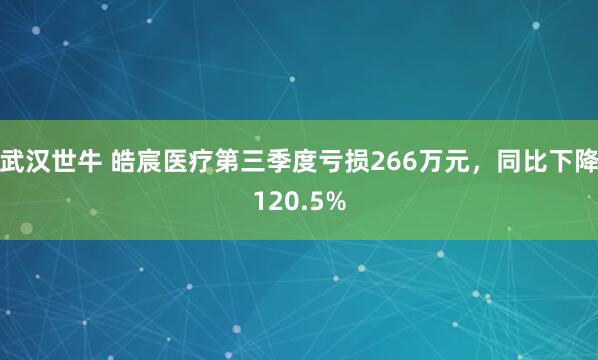 武汉世牛 皓宸医疗第三季度亏损266万元,同比下降120.5%