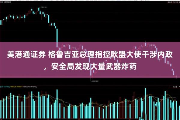 美港通证券 格鲁吉亚总理指控欧盟大使干涉内政,安全局发现大量武器炸药