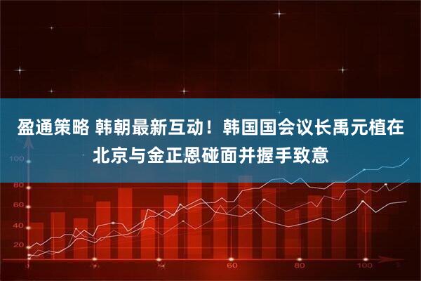 盈通策略 韩朝最新互动！韩国国会议长禹元植在北京与金正恩碰面并握手致意